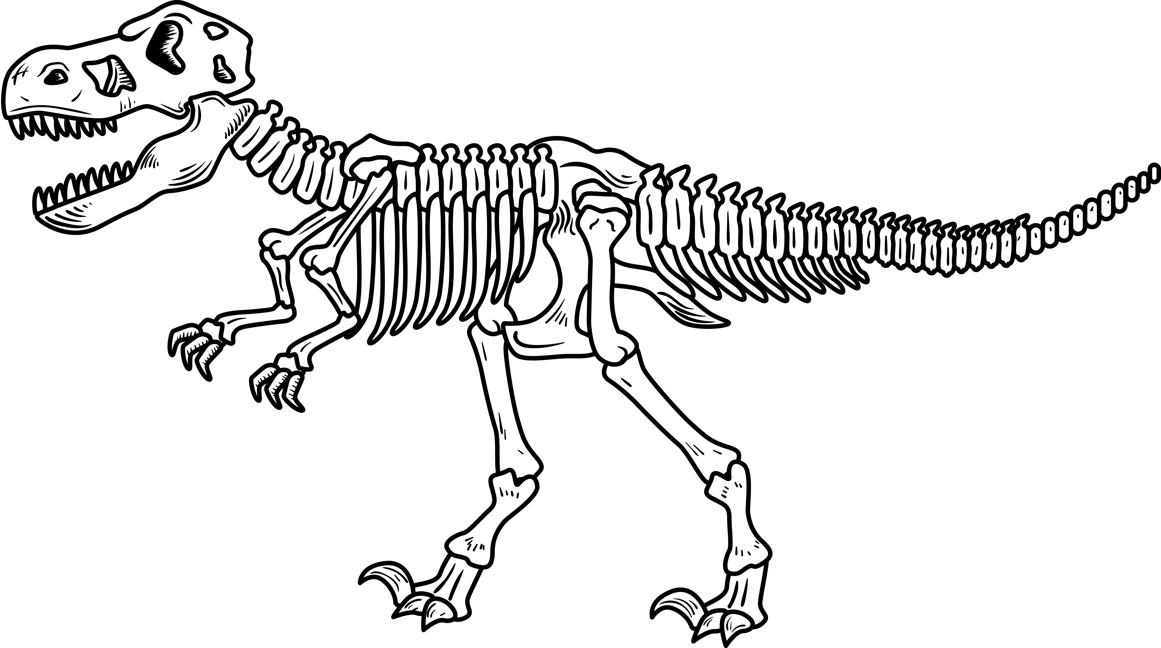 skeleton